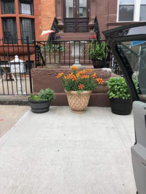 Brooklyn brownstone